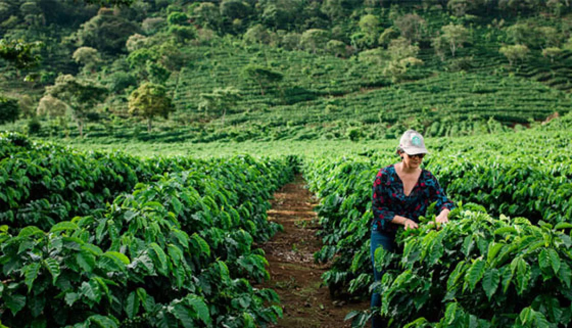 Responsibility_sustainability