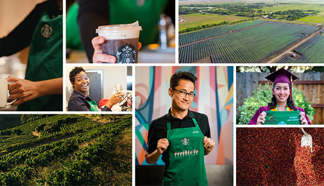 Responsibility Reporting